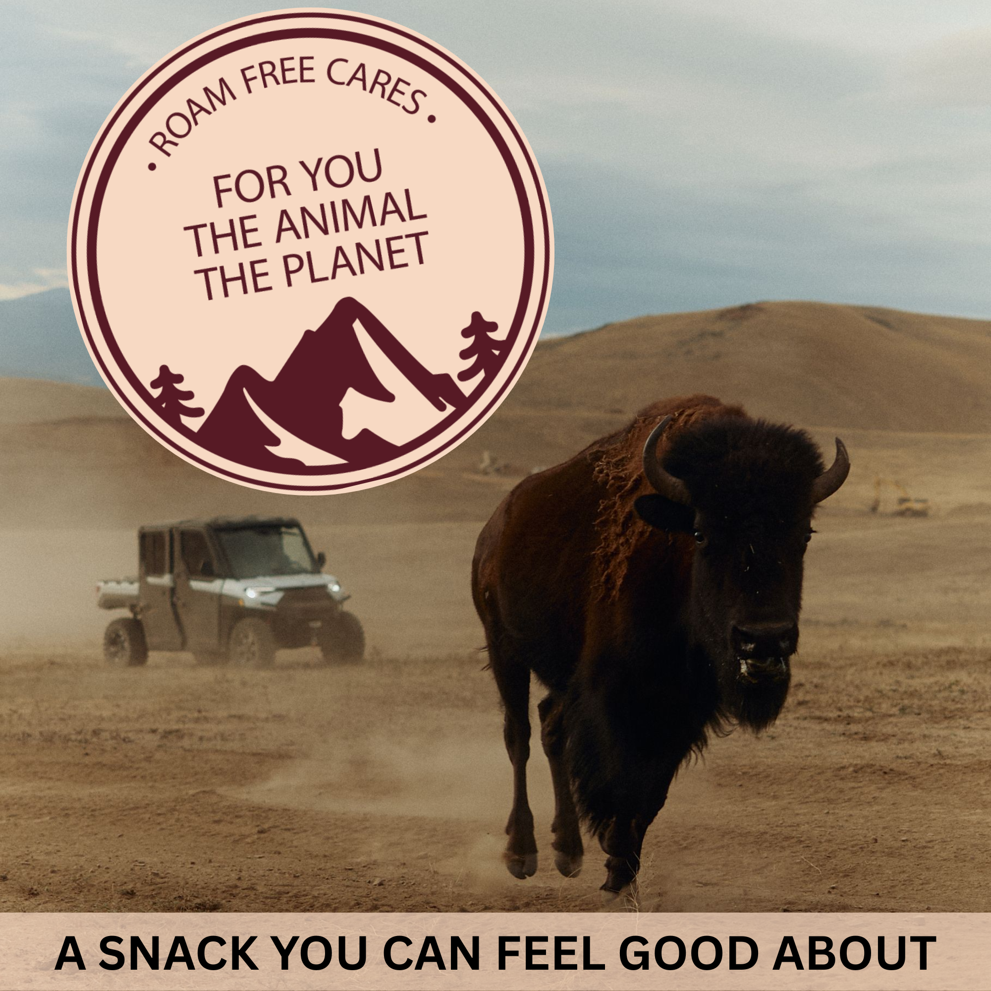 Pasture-Raised Bison Sticks, Original, 0.85 oz Meat Sticks - 10 Pack