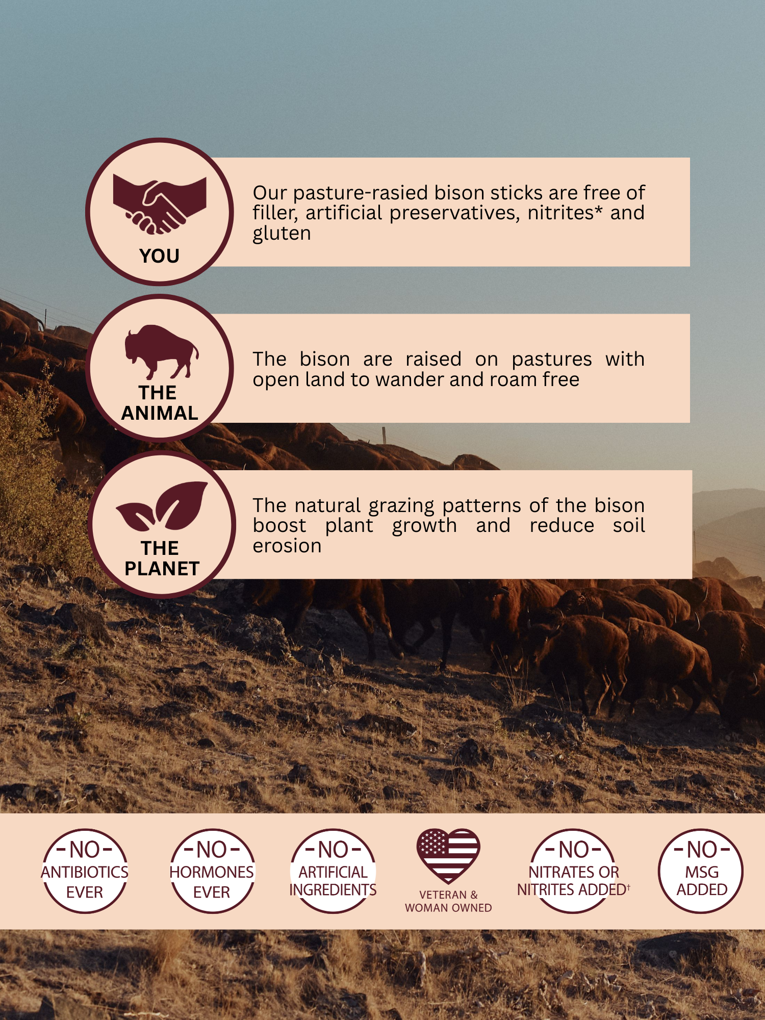 Pasture-Raised Bison Sticks, Original, 0.85 oz Meat Sticks - 10 Pack